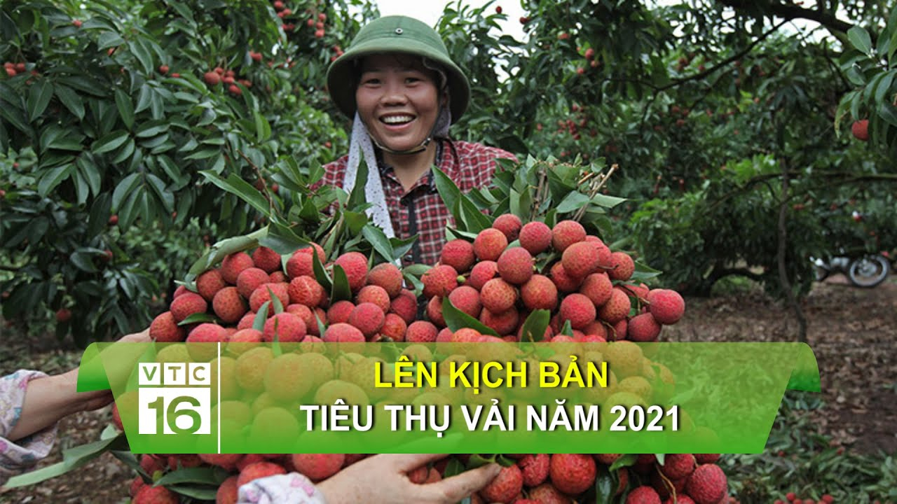Năm 2025, giáo viên được nghỉ hè bao lâu?