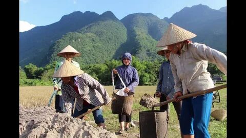 Bị đánh bầm dập, nhà vô địch Thái Lan phản đòn đấm gục 'rồng đen' nước Pháp